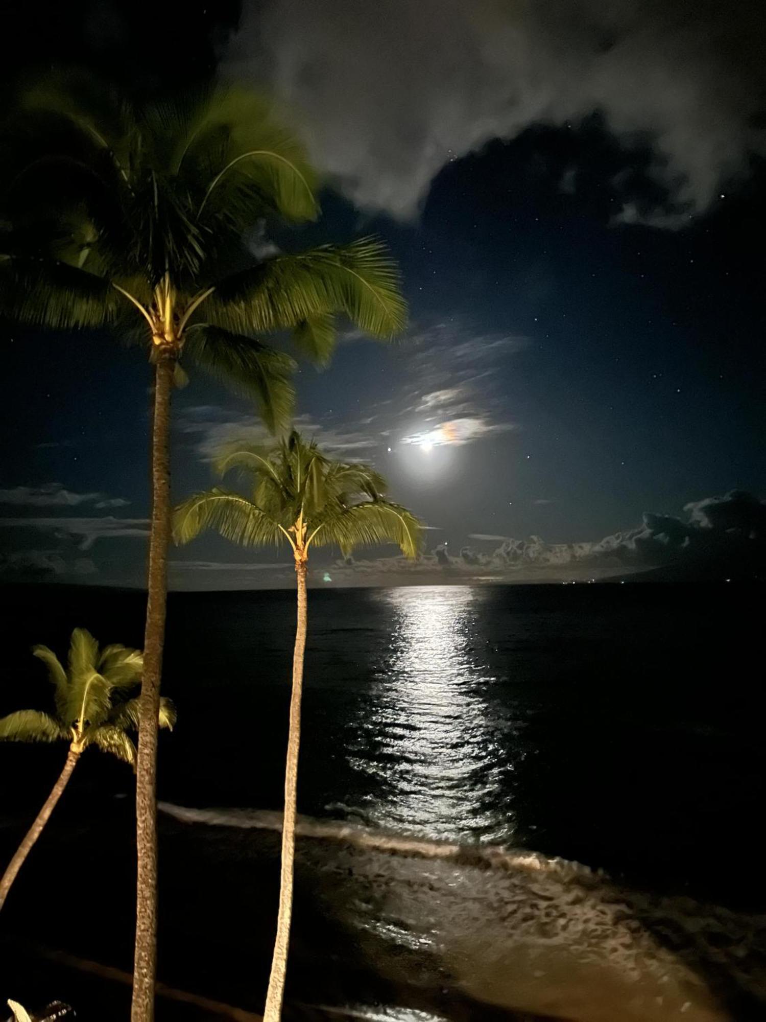Hébergement de vacances Paki Maui 405 *